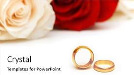  Presentation with white wedding - PPT layouts featuring rose and wedding rings isolated background and a white colored foreground