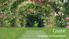  Presentation with garden - Presentation design having rose arch in the garden background and a seafoam green colored foreground