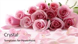  Presentation with beautiful orchid flowers - Cool new presentation with rose buds - bouquet of beautiful flowers backdrop and a lemonade colored foreground