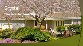  Presentation with cherry blossom - Amazing theme having rose crown - pink cherry blossom in front backdrop and a coral colored foreground