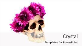  Presentation with rose flower - Colorful presentation design enhanced with rose crown - skull with a wreath backdrop and a white colored foreground