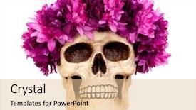  Presentation with rose flower - PPT layouts enhanced with rose crown - skull with a wreath background and a lemonade colored foreground