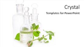  Presentation with essence - PPT layouts having rose essence and rosebuds - spa background and a white colored foreground