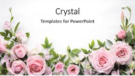  Presentation with leaves flat lay - Presentation consisting of rose flower with leaves frame background and a white colored foreground