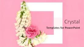  Presentation with wedding floral frame - PPT theme enhanced with rose-foxglove-and-freesia-flower background and a lemonade colored foreground