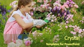  Presentation with garden - Presentation featuring rose garden - beautiful girl cutting background and a  colored foreground
