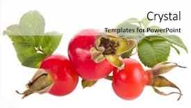  Presentation with hip - Amazing presentation theme having beautiful red and black melange knitted background backdrop and a wine colored foreground