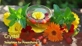 Presentation with hip - PPT theme consisting of rose hip - glass cup with herbal tea background and a tawny brown colored foreground