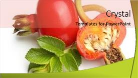  Presentation with white rose - Cool new theme with rose hip isolated on white backdrop and a coral colored foreground