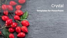  Presentation with rose hips - Beautiful PPT theme featuring rose-hips on gray graphite backdrop and a gray colored foreground
