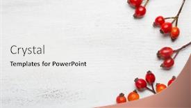  Presentation with rose hips - Slide deck with rose-hips-on-white-wooden background and a white colored foreground