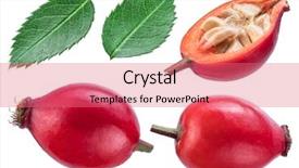  Presentation with rose hips - Cool new PPT theme with leaves file contains clipping path backdrop and a coral colored foreground