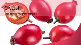  Presentation with rose hips - Beautiful theme featuring rose-hips or wild rose backdrop and a coral colored foreground