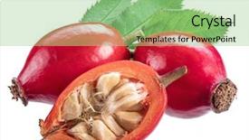  Presentation with rose hips - Slide set consisting of roses - rose-hips or wild rose berries background and a seafoam green colored foreground