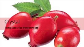  Presentation with rose hips - Beautiful presentation design featuring rose-hips or wild rose backdrop and a red colored foreground