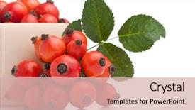  Presentation with close up dumb cane leaves - PPT theme having rose hips rosa canina close background and a lemonade colored foreground