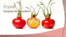  Presentation with rose hips - Amazing presentation having rose-hips-rosa-rugosa-whole backdrop and a cream colored foreground