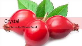  Presentation with rose hips - Cool new slide deck with rose-hips with leaf isolated backdrop and a red colored foreground