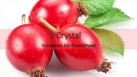  Presentation with rose hips - Theme featuring rose-hips with leaf isolated background and a red colored foreground