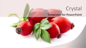  Presentation with rose hips - Presentation design with rose hips with leaves on white background background and a lemonade colored foreground