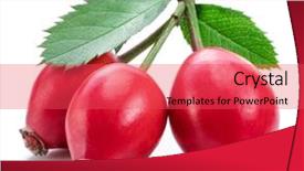 Presentation with rose hips - Colorful theme enhanced with rose-hips with rose leaves backdrop and a red colored foreground