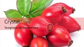  Presentation with rose hips - Audience pleasing PPT layouts consisting of rose-hips with rose leaves backdrop and a red colored foreground