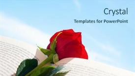  Presentation with give - Beautiful slides featuring rose in an open book backdrop and a sky blue colored foreground