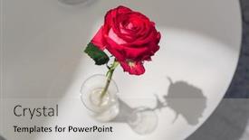  Presentation with cafe - Beautiful slides featuring rose-in-glass-vase backdrop and a light gray colored foreground