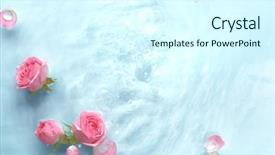  Presentation with silk - Slide set consisting of rose in water with soft background and a cool aqua colored foreground