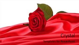  Presentation with silk - Presentation having rose on red silk background and a crimson colored foreground