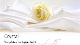  Presentation with silk - Audience pleasing PPT layouts consisting of rose on white silk background backdrop and a white colored foreground