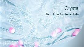  Presentation with silk - Presentation having rose petal in water background and a sky blue colored foreground