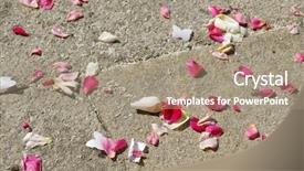  Presentation with wedding white - Presentation having rose petals and rice background and a coral colored foreground