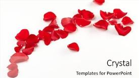  Presentation with rose petal corner frame - Beautiful slides featuring rose petals background backdrop and a pink colored foreground