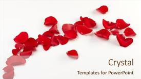  Presentation with rose petal corner frame - Audience pleasing slide deck consisting of rose petals background backdrop and a sky blue colored foreground