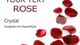  Presentation with border - Colorful PPT theme enhanced with rose petals border backdrop and a pink colored foreground