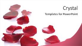 Presentation with border - Presentation having rose petals border background and a white colored foreground