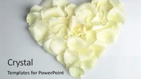  Presentation with white rose - Cool new presentation theme with rose petals isolated on white backdrop and a light gray colored foreground