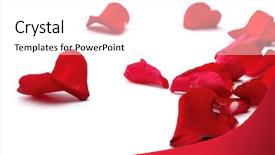  Presentation with white rose - Slides featuring rose petals isolated on white background and a white colored foreground