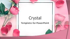  Presentation with wedding card - PPT theme enhanced with blank card valentines or wedding background and a white colored foreground