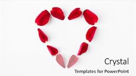  Presentation with valentines day - Beautiful PPT theme featuring rose petals on white background backdrop and a white colored foreground