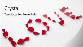  Presentation with valentines day - Audience pleasing PPT theme consisting of rose petals on white background backdrop and a white colored foreground