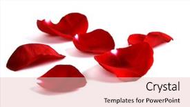  Presentation with love romance - PPT theme featuring rose petals representing love background and a lemonade colored foreground