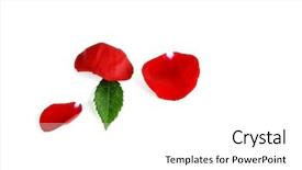  Presentation with romance - PPT theme having rose petals representing love background and a white colored foreground