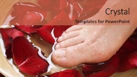  Presentation with spa concept - Slides featuring rose petals water - feet spa pedicure concept background and a  colored foreground