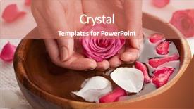  Presentation with spa - Amazing PPT theme having rose petals water - spa for hands backdrop and a coral colored foreground