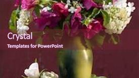  Presentation with pink rose - Audience pleasing slide set consisting of rose pink backdrop and a tawny brown colored foreground