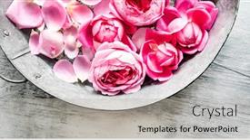 Presentation with day spa - Presentation theme featuring rose-spa-day-top-view background and a light gray colored foreground