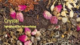  Presentation with tea types - PPT layouts having rose spirit drink - different tea types green black background and a tawny brown colored foreground