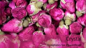  Presentation with pressed and dried flowers - Beautiful slide deck featuring rose tea - dried rosebuds flowers backdrop and a violet colored foreground